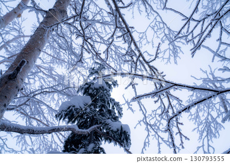 [白霜的材質]乘鞍高原白霜[長野縣] 130793555