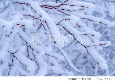[白霜的材質]乘鞍高原白霜[長野縣] 130793559