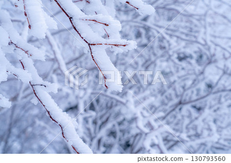 [白霜的材質]乘鞍高原白霜[長野縣] 130793560