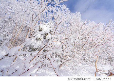 [白霜的材質]乘鞍高原白霜[長野縣] 130793562