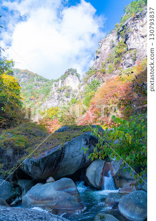 [Autumn leaves] Autumn leaves of Kakuenbo, the symbol of Shosenkyo [Yamanashi Prefecture] 130793837