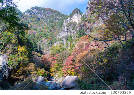 [Autumn leaves] Autumn leaves of Kakuenbo, the symbol of Shosenkyo [Yamanashi Prefecture] 130793839