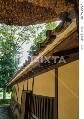 Thatched roof and mansion forest 130793997