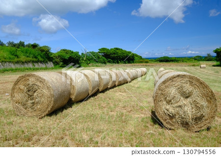 Akashi Pastures on Ishigaki Island 130794556