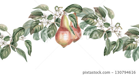 Seamless border with curved branches of flowering pear and fruits. Isolated watercolor illustration for packaging design of products from this fruit, kitchen textiles and interior design. Seamless border with curved branches of flowering pear and fruits. Isolated watercolor illustration for packaging design of products from this fruit, kitchen textiles and interior design. 130794616