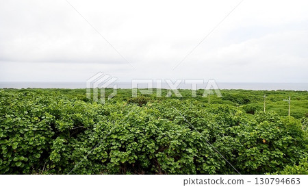 從沖繩縣八重山群島鳩間島的觀景台上看到的景色 130794663