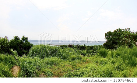 The view from the observation deck on Hatoma Island in the Yaeyama Islands, Okinawa Prefecture 130794665