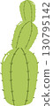 Green cactus plant illustration on transparent background 130795142