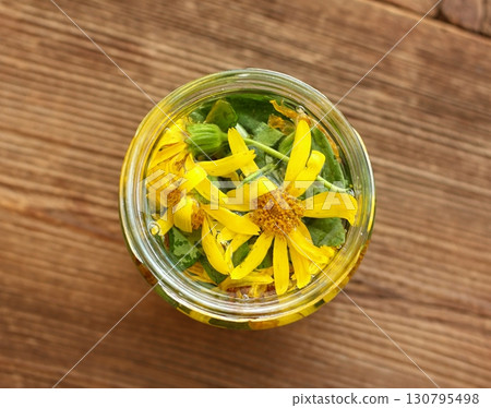 Preparation of tincture from Arnica montana, also known as wolf's bane, leopard's bane  and mountain arnica. 130795498