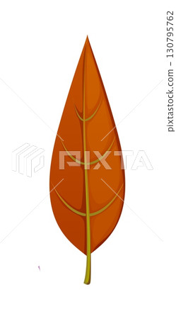 Cartoon autumn leaf with a vibrant brown color, smooth and symmetrical shape, prominent veins and a slender stem, capturing the essence of fall season. Isolated vector tree or plant foliage Cartoon autumn leaf with a vibrant brown color, smooth and symmetrical shape, prominent veins and a slender stem, capturing the essence of fall season. Isolated vector tree or plant foliage 130795762