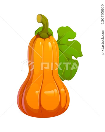 Cartoon autumn fall season butternut pumpkin with green leaf. Happy Thanksgiving holiday and harvest symbol. Isolated vector ripe gourd vegetable symbolizing autumnal crop. Fresh orange pumpkin plant Cartoon autumn fall season butternut pumpkin with green leaf. Happy Thanksgiving holiday and harvest symbol. Isolated vector ripe gourd vegetable symbolizing autumnal crop. Fresh orange pumpkin plant 130795909