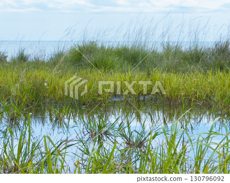 A Shore Without Wind A Shore Without Wind 130796092