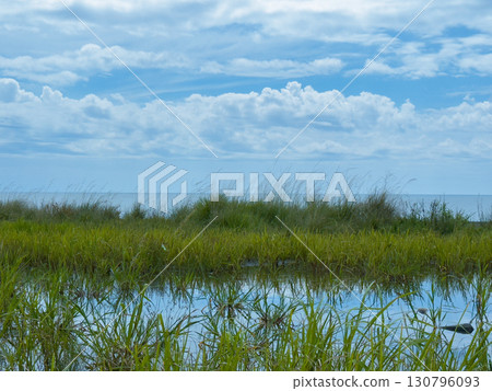 Brown dead leaves and fallen leaf textures, words that return to the soil Brown dead leaves and fallen leaf textures, words that return to the soil 130796093