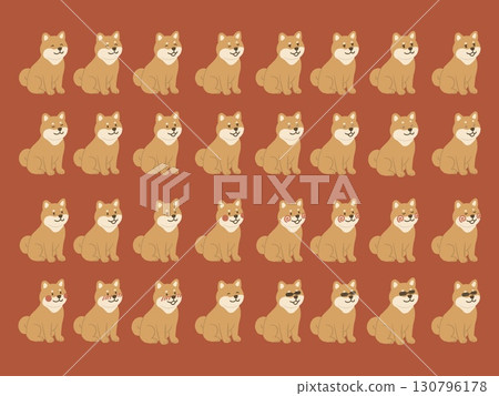 坐柴犬各種收集背景材料 130796178