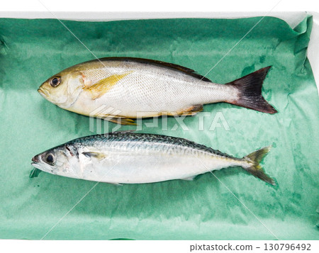Seki mackerel, grunt Seki mackerel, grunt 130796492