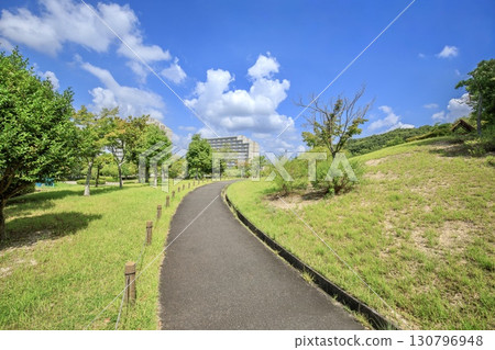 三好市三好丘公園的風景 三好市三好丘公園的風景 130796948