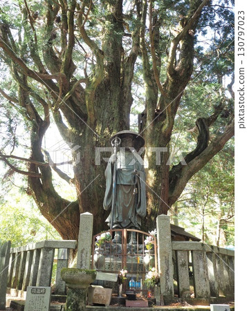 Shikoku 88 Temple Pilgrimage: Souchi's Lone Cedar and Statue of Kukai Shikoku 88 Temple Pilgrimage: Souchi's Lone Cedar and Statue of Kukai 130797023