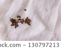 Photo of soil stains on linen clothing 130797213