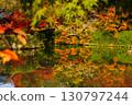 A photo of the water surface reflecting autumn leaves 130797244