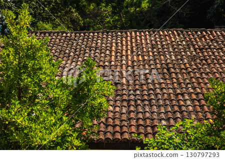 Old terracotta roof covered with weathered clay tiles, partially framed by green tree branches in a sunny Mediterranean garden. 130797293