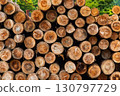 Wood 130797729