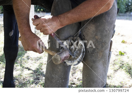 Farrier works in a field Farrier works in a field 130799724