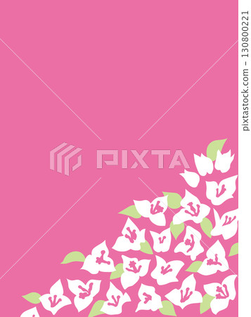 三角梅角插圖 三角梅角插圖 130800221