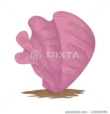 Illustration of coral 130800490