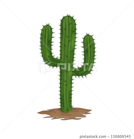 Illustration of cactus 130800545