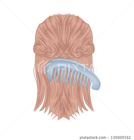 Illustration of Comb 130800582