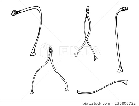 Tree, berry or bush plant stem branch twig with no leaves hand drawn vector ink, early spring, late autumn or winter. Botanical illustration element isolated on white. Wedding, florist shop. Tree, berry or bush plant stem branch twig with no leaves hand drawn vector ink, early spring, late autumn or winter. Botanical illustration element isolated on white. Wedding, florist shop. 130800722