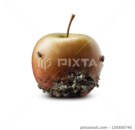 Decaying apple with insects on a black reflective surface. Symbolic of decay, mortality, or natures cycle. Dark, conceptual imagery for edgy designs or health topics. 130800740