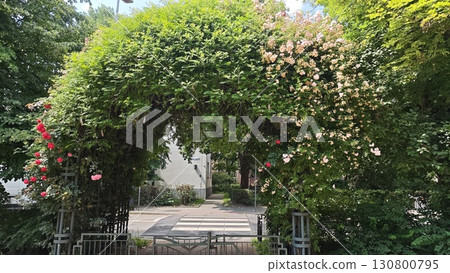 Floral arch covered in blooming roses and lush greenery over a garden entrance Floral arch covered in blooming roses and lush greenery over a garden entrance 130800795