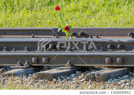 Auschwitz Birkenau Concentration and Extermination Camp. Roses on the rails in tribute to the victims. 130800842