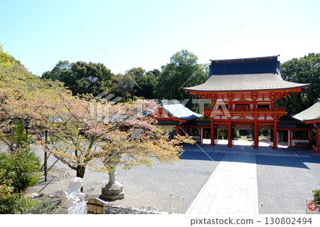 Omi Jingu 130802494