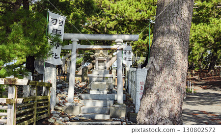 Pine forest landscape (Miho no Matsubara) Pine forest landscape (Miho no Matsubara) 130802572