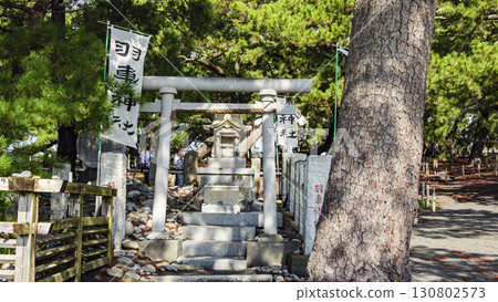 松林景觀（三保之松原） 130802573