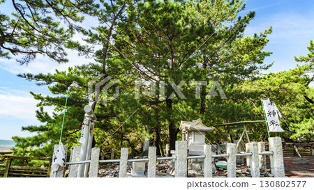 Pine forest landscape (Miho no Matsubara) Pine forest landscape (Miho no Matsubara) 130802577