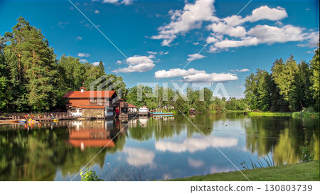 View of the pond, blooming meadow, forest and cottages in village at summer timelapse hyperlapse 130803739