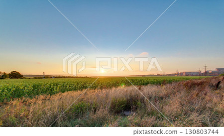 Beautiful sunrise in field and blue sky with clouds timelapse Beautiful sunrise in field and blue sky with clouds timelapse 130803744