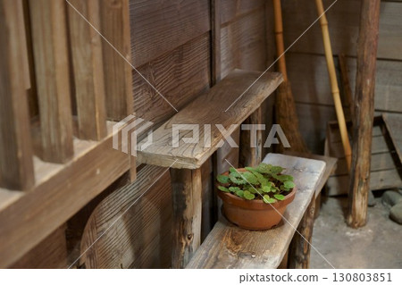 公寓後巷裡的盆栽 公寓後巷裡的盆栽 130803851