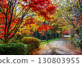 鮮豔的紅葉公園景觀和被紅葉包圍的寧靜散步道 130803955