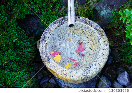 清澈的泉水從日式庭院流過,紅色和黃色的楓樹在石製水盆中格外醒目。 清澈的泉水從日式庭院流過,紅色和黃色的楓樹在石製水盆中格外醒目。 130803956