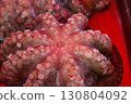 Fresh raw octopuses for sale in the fish market 130804092