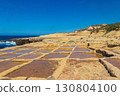 Picturesque scene of salt pans on Gozo island, Malta 130804100