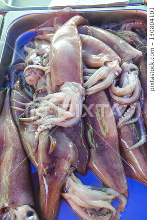 Fresh raw squid for sale in fish market 130804101
