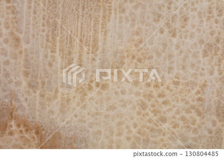 Onice Cappuccino texture, stylish background in light color for interior. 130804485