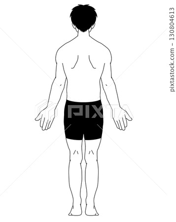 Anatomical upright position, male, back, line drawing, with clothes Anatomical upright position, male, back, line drawing, with clothes 130804613