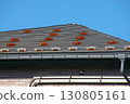 The roof 130805161