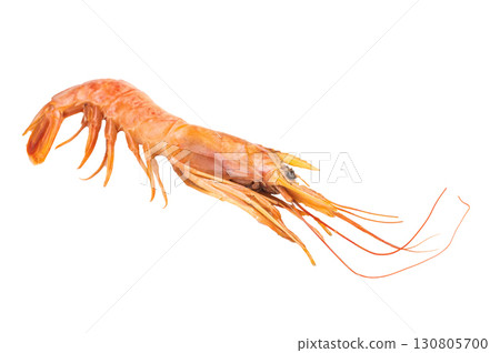 Raw red Argentine shrimps, Prawns Langostino Austral isolated on white background. top view Raw red Argentine shrimps, Prawns Langostino Austral isolated on white background. top view 130805700